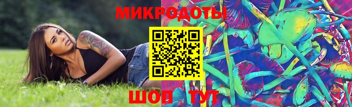Псилоцибиновые грибы Cubensis  Вход с VPN  Советский 